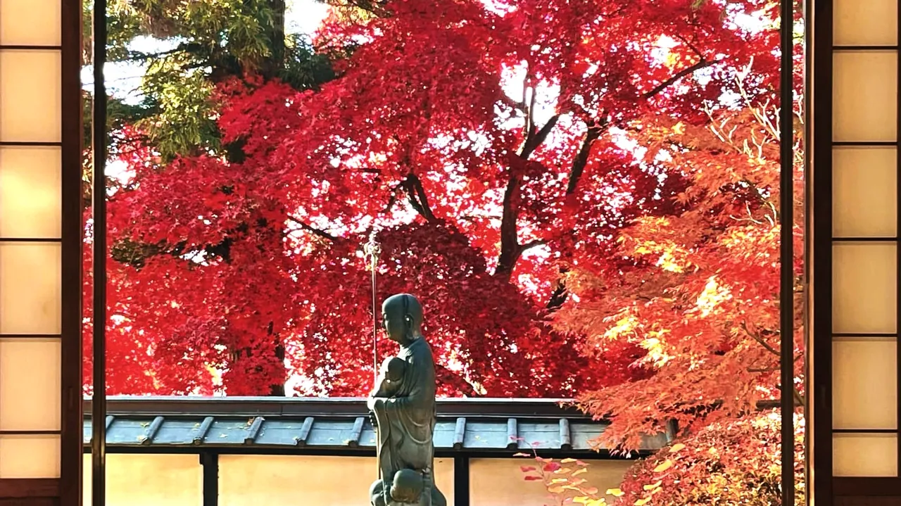 長圓寺 真紅に染まる楓の紅葉
